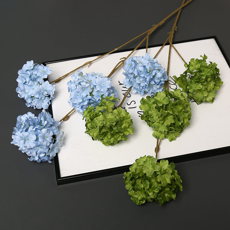 Decoratieve Gedroogde Bloemenstengel voor Hu decoration