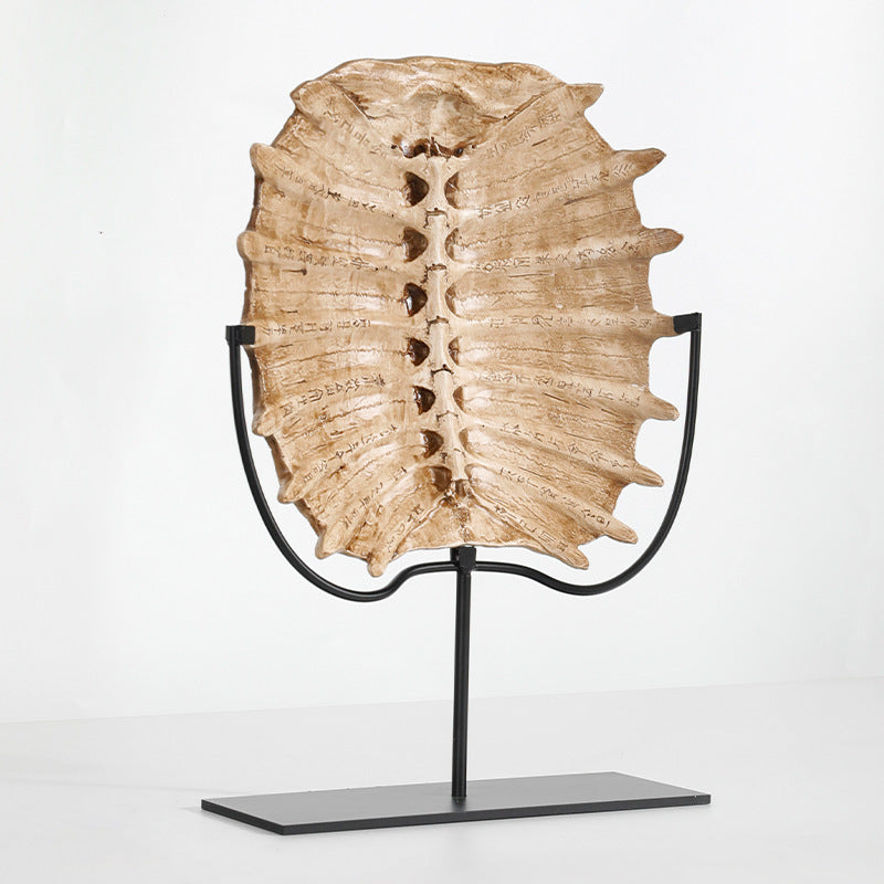 Kustthema Decoratieve Zeeschildpad Beeld