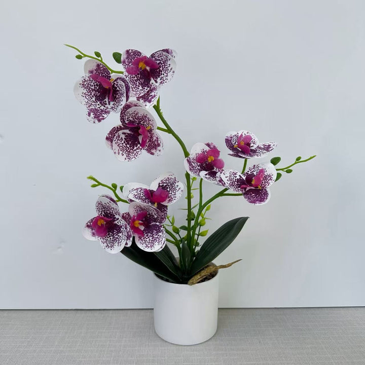 Decoratieve Orchidee voor Hu decoratie Display