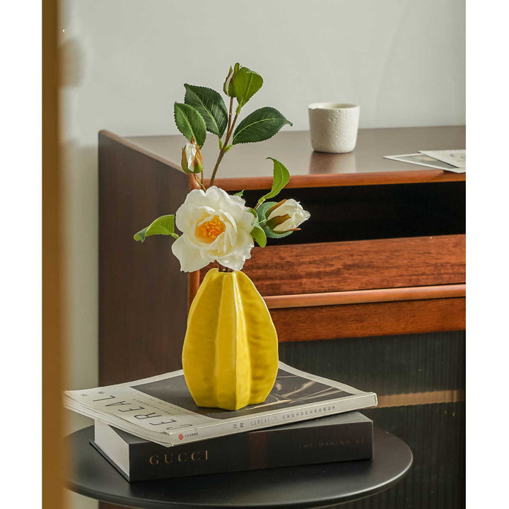 Moderne Decoratieve Ceramic Vaasje