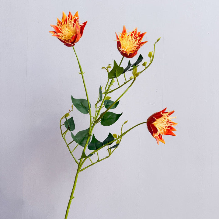 Exotische Flora Arrangement