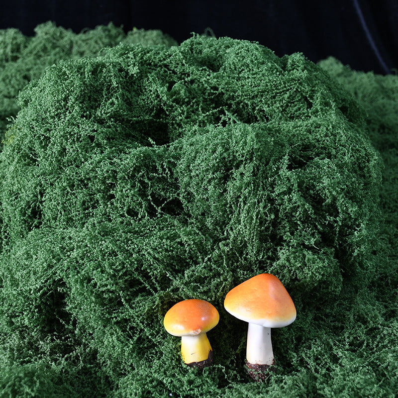 Decoratieve Groene Mos Arrangement