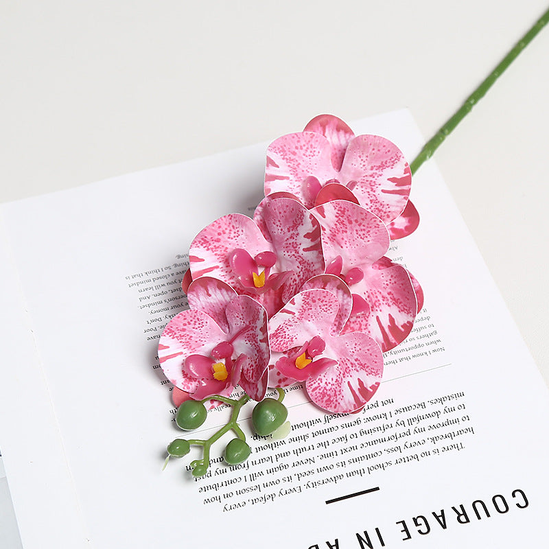 Realistische Orchidee Bloem Stem