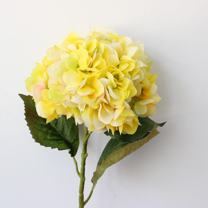 Levensechte Hortensia Bloem Steel