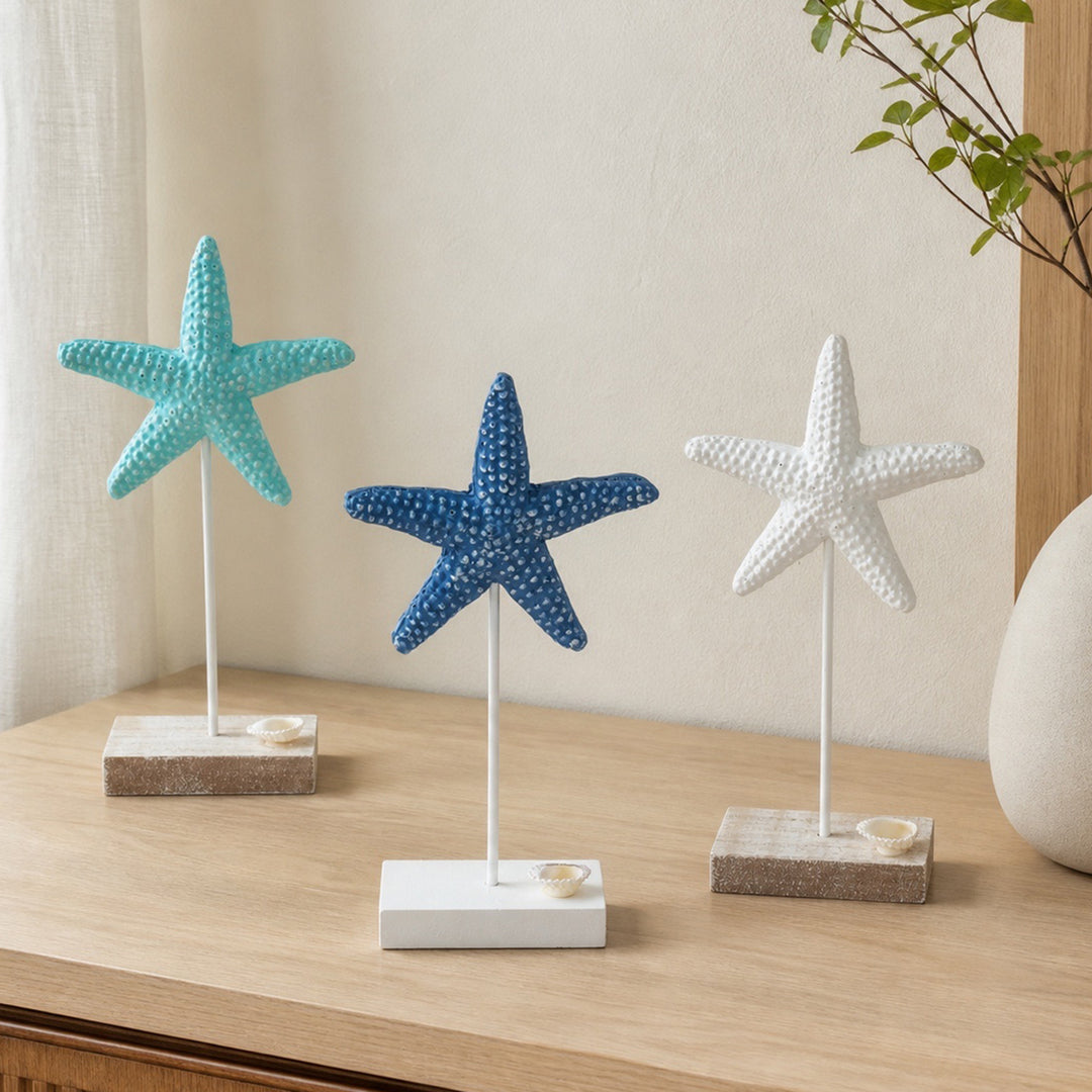 Kust Zeester Sculptuur Display