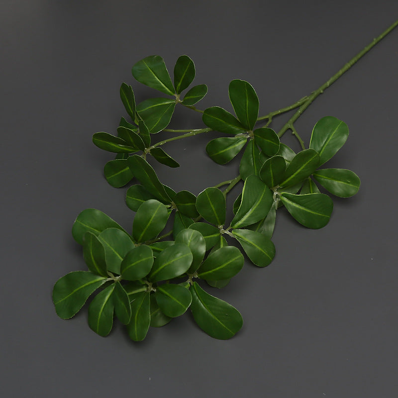 Decoratieve Groene Klimplant voor Binnenhuisdecoratie