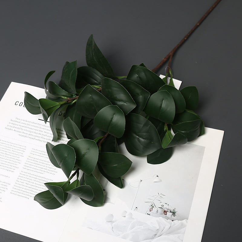 Realistische Groene Planten
