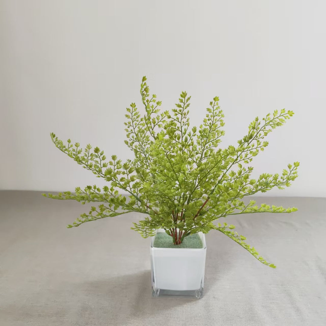 Levensechte Varen Decoratieve Tak