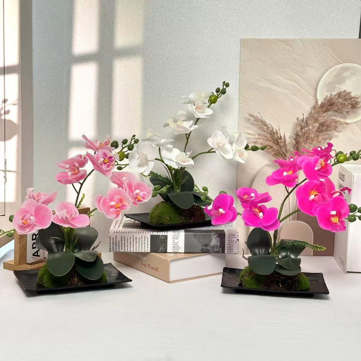 Orchidee Bloem Arrangement