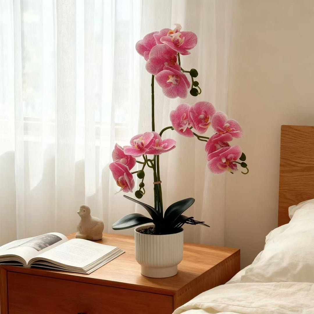 Elegante Kunstmatige Orchidee Plant Voor Huis Decor Weergave