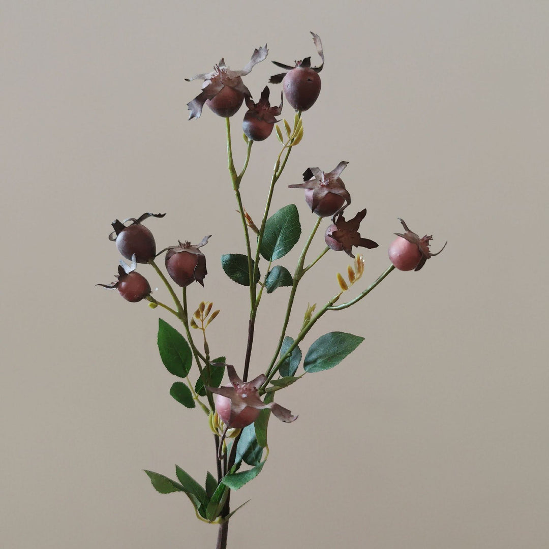 Decoratieve Natuurlijke Gedroogde Bloemenstelen