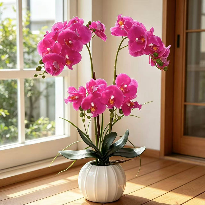 Levensechte Decoratieve Orchidee Arrangement voor Thuisdisplay