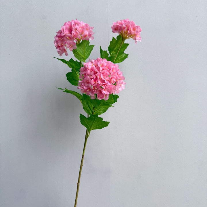Decoratieve Hortensia Steel