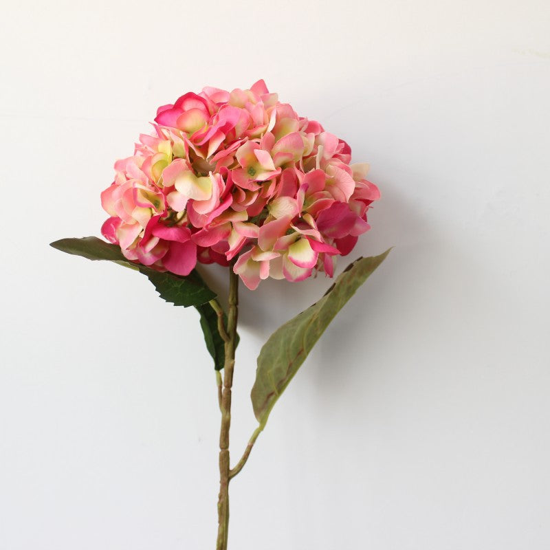 Levensechte Hortensia Bloem Steel