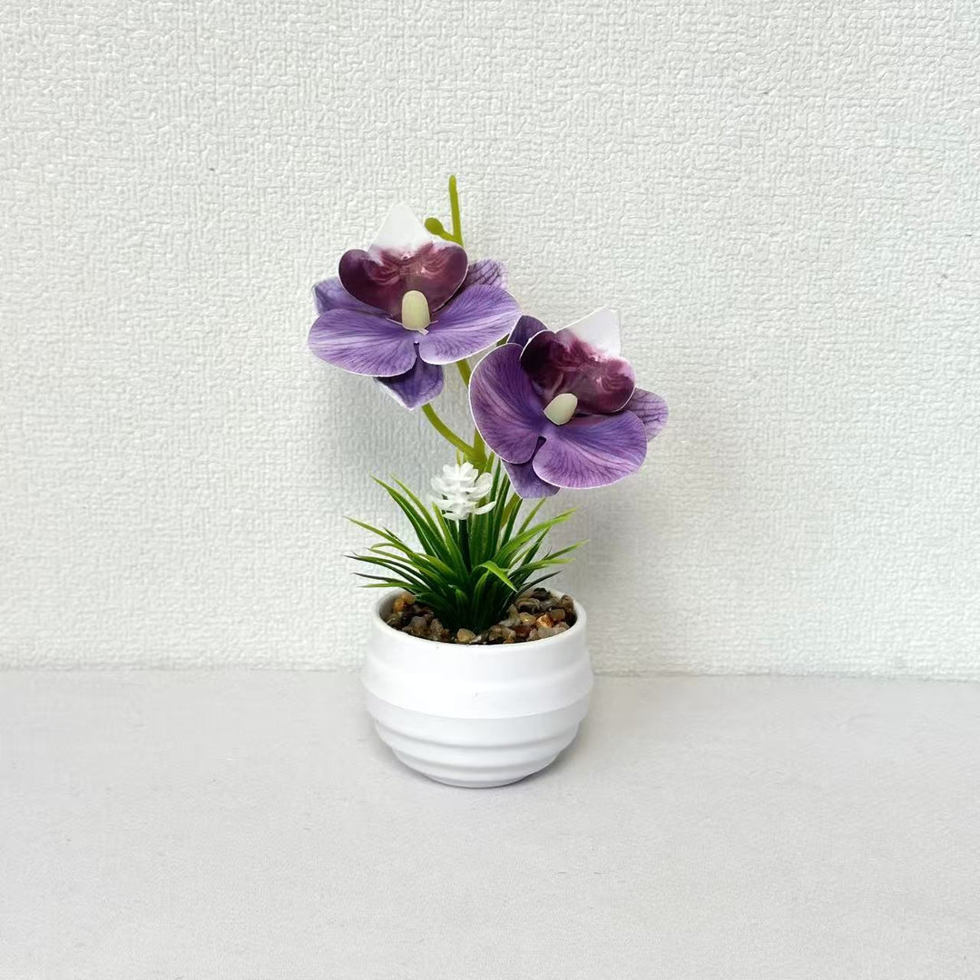 Decoratieve Miniatuur Orchidee Centerpiece