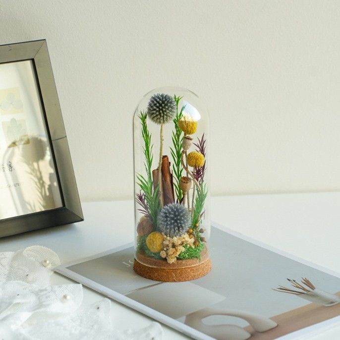Moderne Decoratieve Bloemen Terrarium