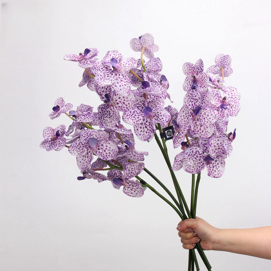 Elegante Kunstmatige Orchidee Stam