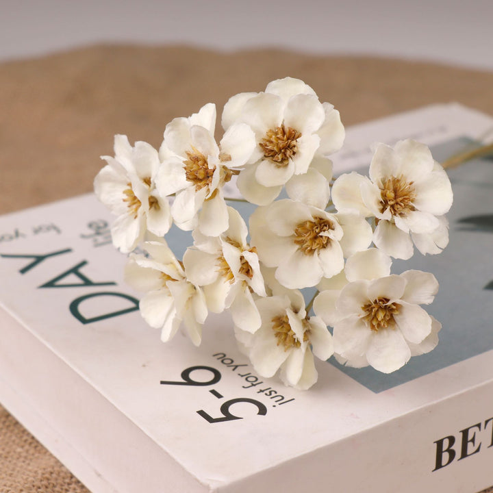 Decoratieve Gedroogde Bloemenboeket