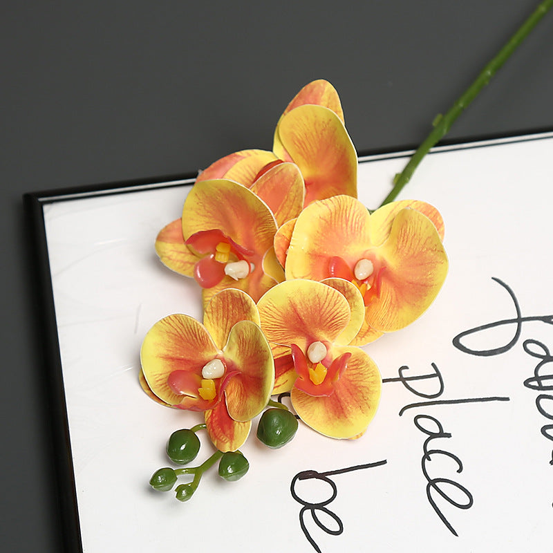Levensechte Orchidee Bloem Steel