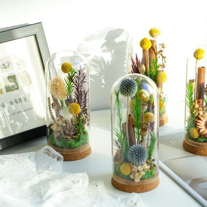Moderne Decoratieve Bloemen Terrarium