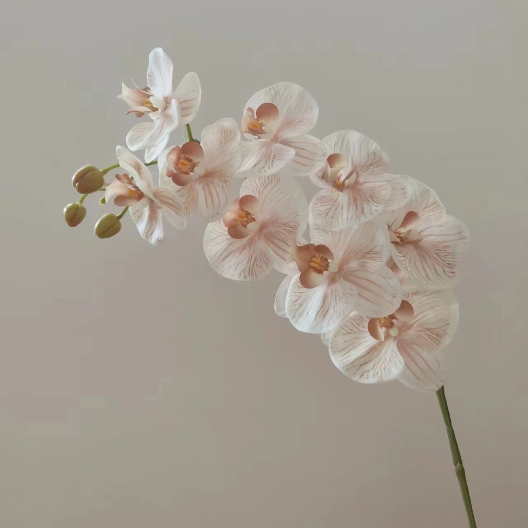 Realistische Orchidee Bloem Steel