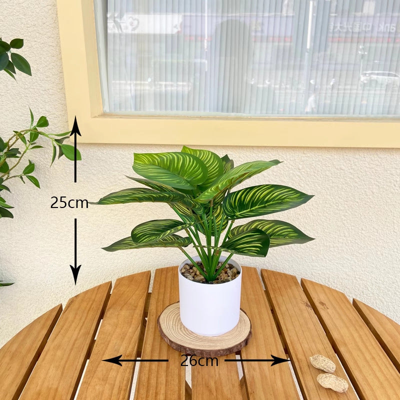 Levensechte Realistische Varens Plant Arrangement