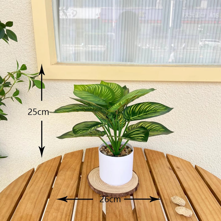 Levensechte Realistische Varens Plant Arrangement