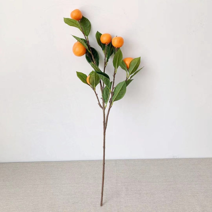 Decoratieve Citrusvruchtsteel