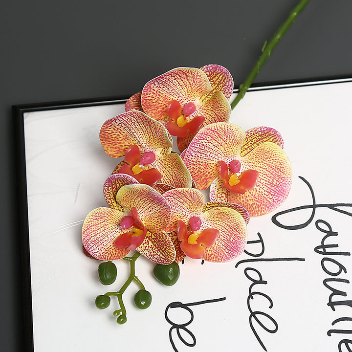 Levensechte Orchidee Bloem Steel