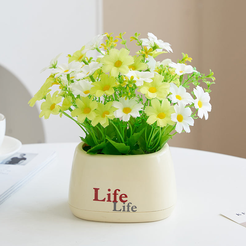Decoratieve Nep Fruitplant