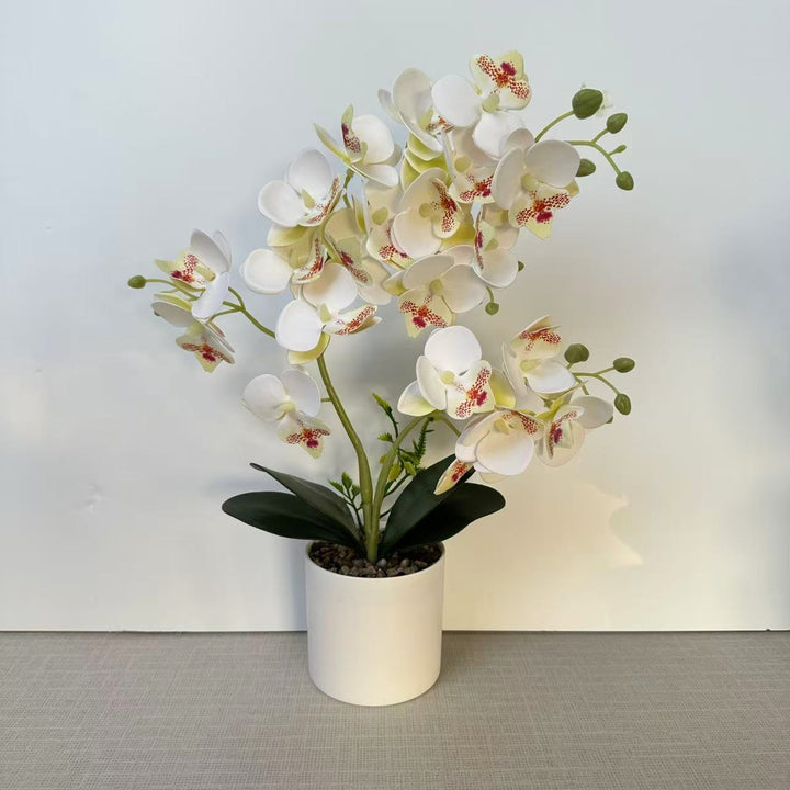 Levensechte Kunstachtige Orchidee Plant