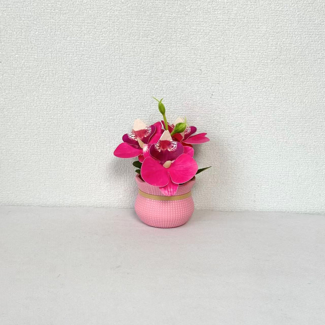 Decoratieve Potted Orchidee Arrangement voor Huishouddecoratie