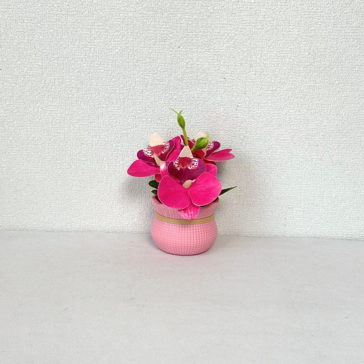 Decoratieve Potted Orchidee Arrangement voor Huishouddecoratie