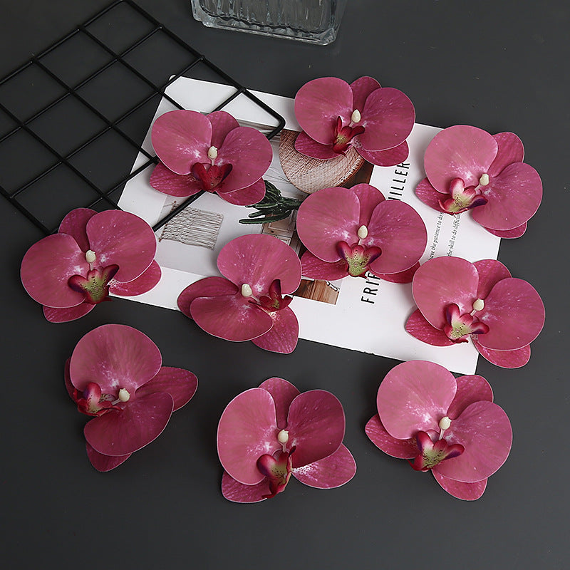 Decoratieve Orchidee Petal voor Thuisdecoratie Display