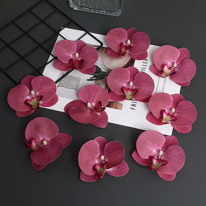Decoratieve Orchidee Petal voor Thuisdecoratie Display