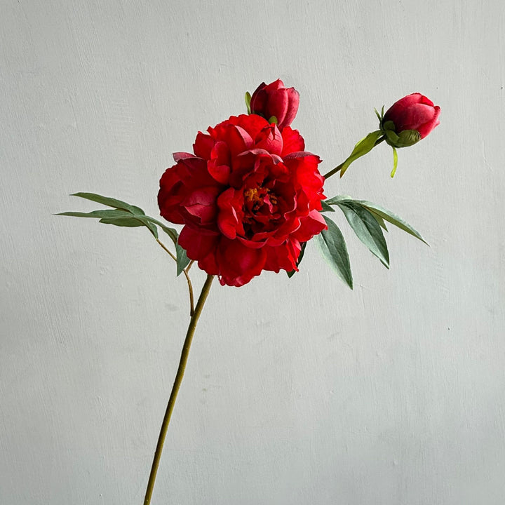 Decoratieve Bloemstukken