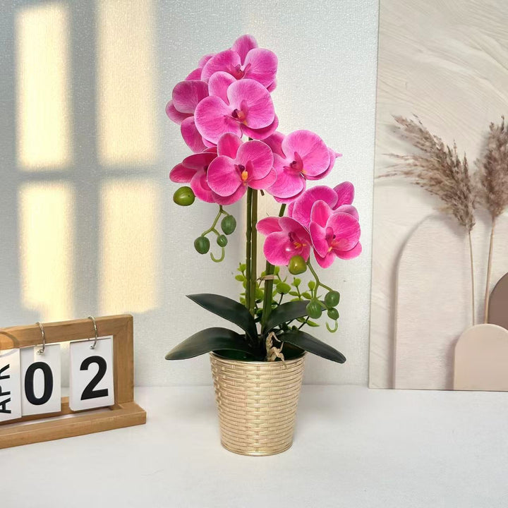Kunstmatige Orchidee Bloemendisplay voor Binnenhuisdecoratie