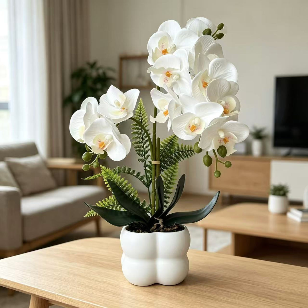 Premium Levensechte Orchidee Plant Arrangement