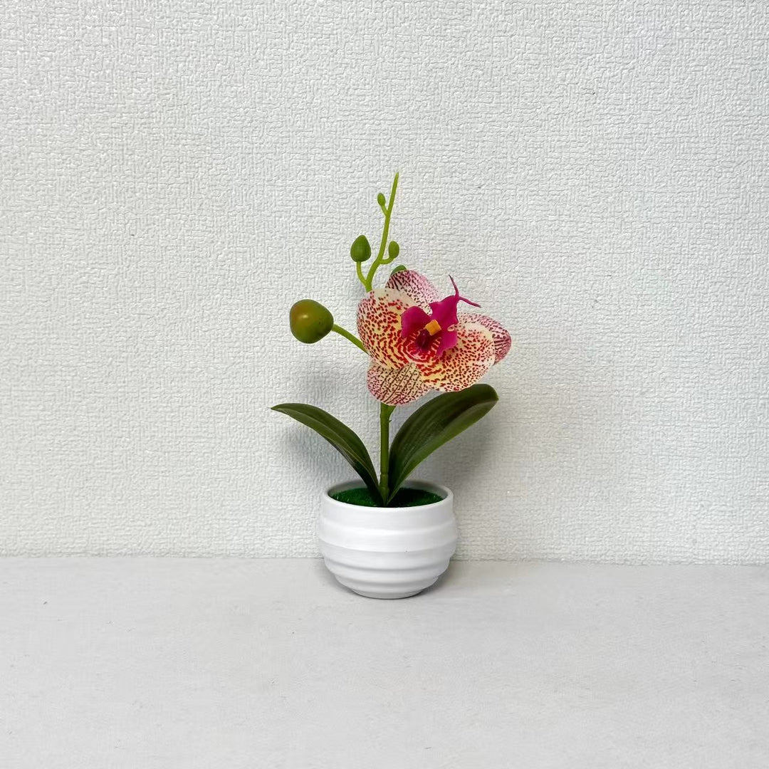 Levensechte Orchidee Bloempot Decoratie