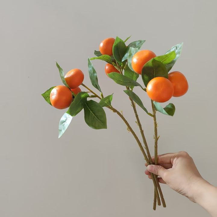 Decoratieve Oranje Fruitsteel
