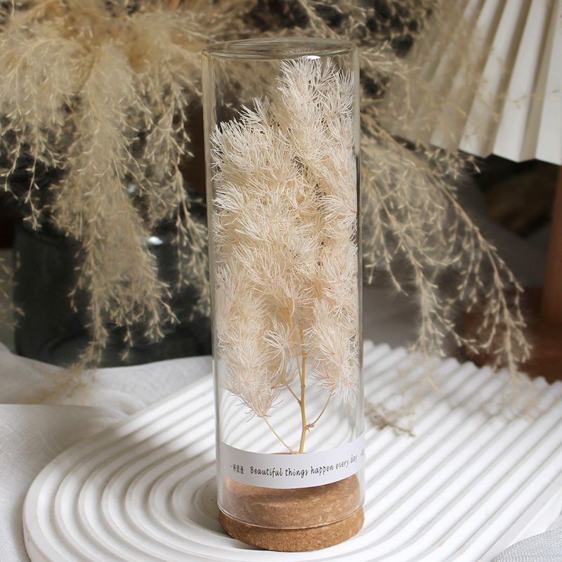 Geconserveerde Bloemdisplay in Elegante Glazen Cilinder