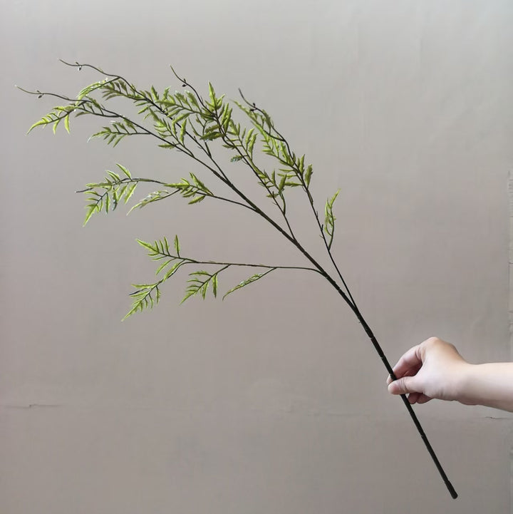 Decoratieve Nepplant