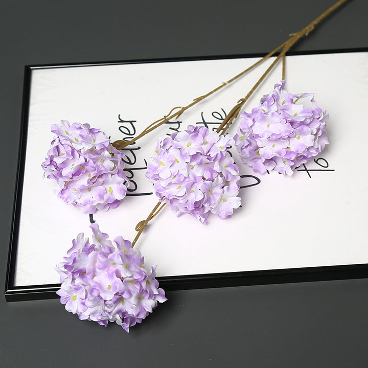 Decoratieve Gedroogde Bloemenstengel voor Hu decoration