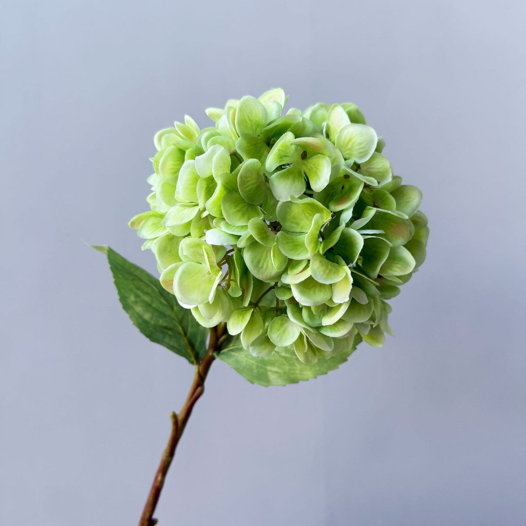 Bloemdecoratief