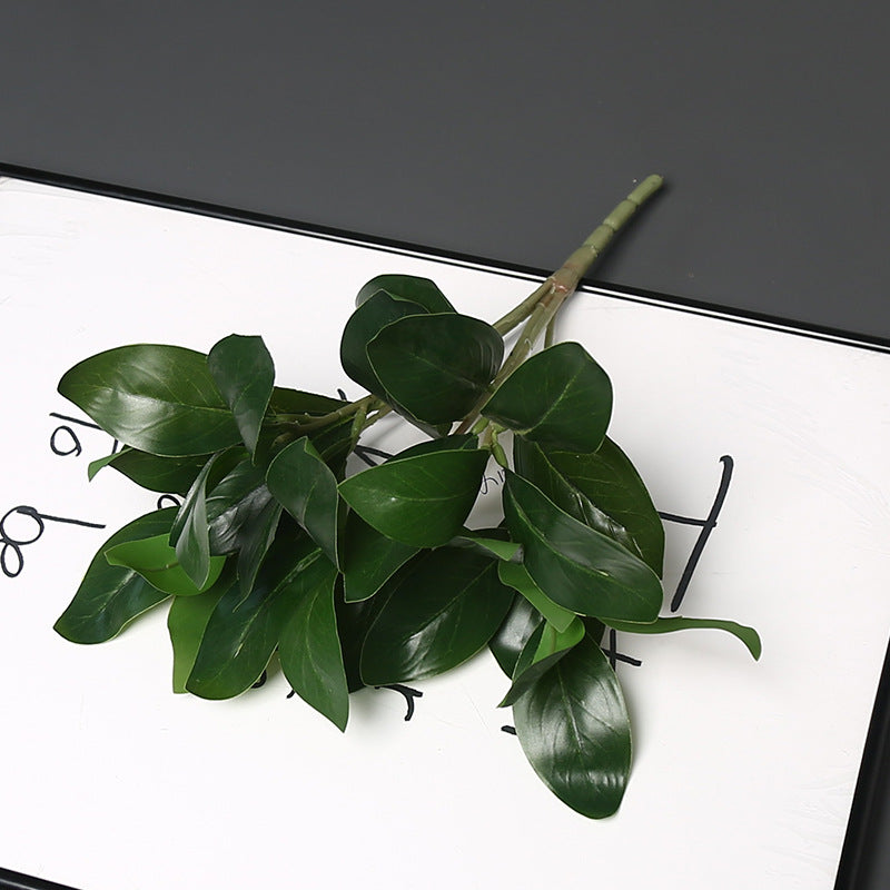 Realistische Groene Planten