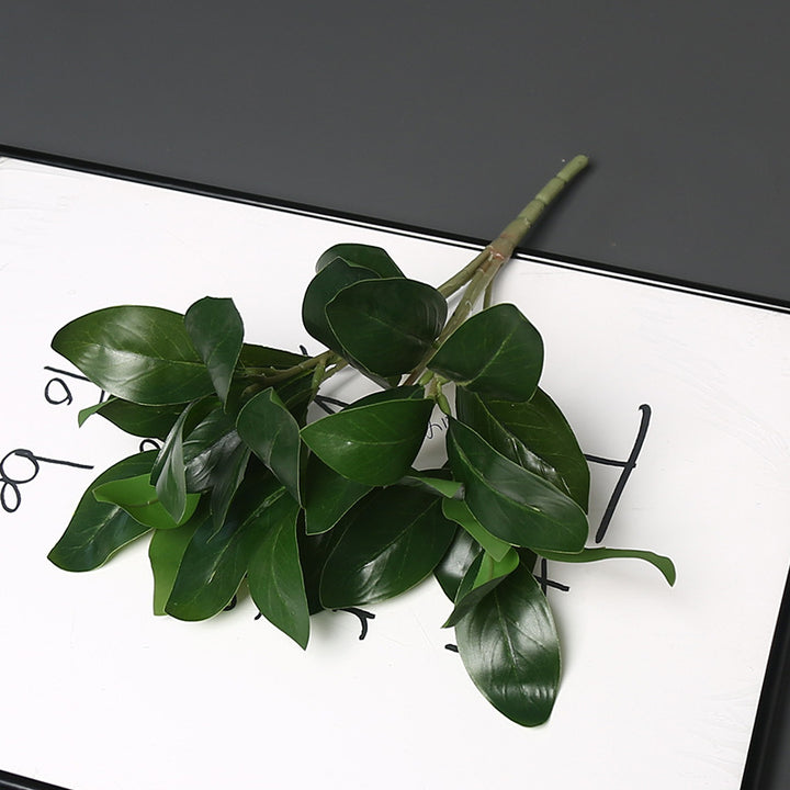 Realistische Groene Planten