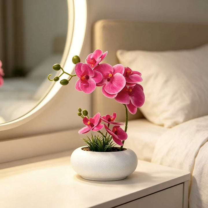 Levensechte Orchidee Plantenarrangement voor Thuisdecoratie