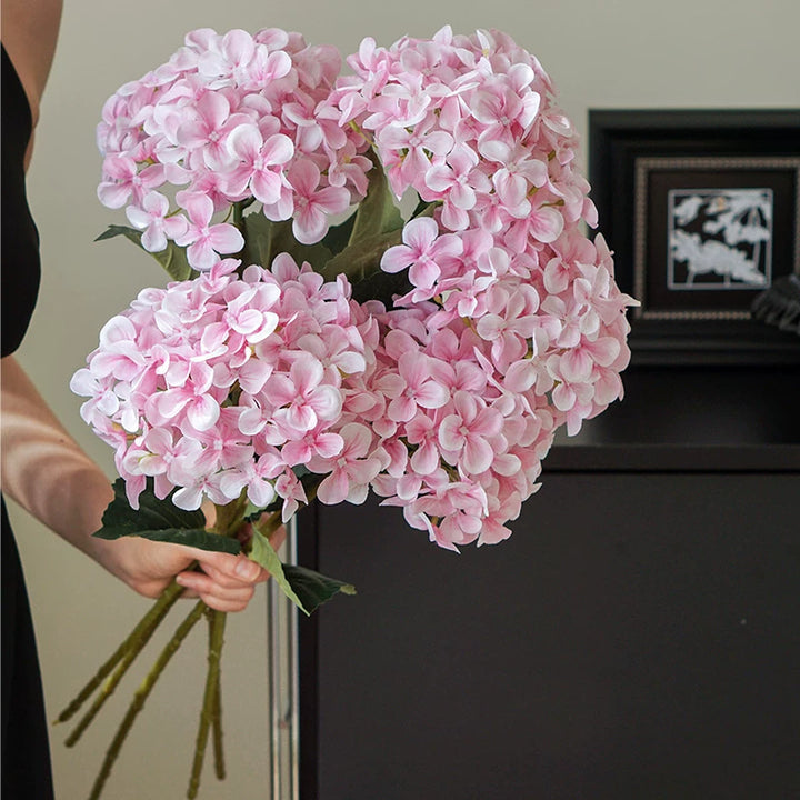 Hortensia Decoratieve Bloem Stem
