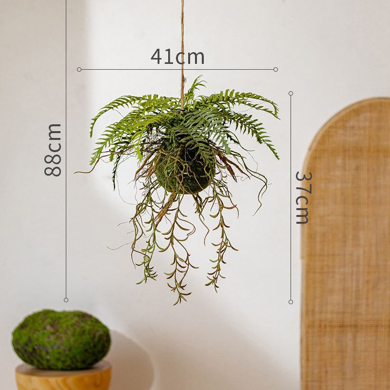 Hangende Varenplant Decoratie