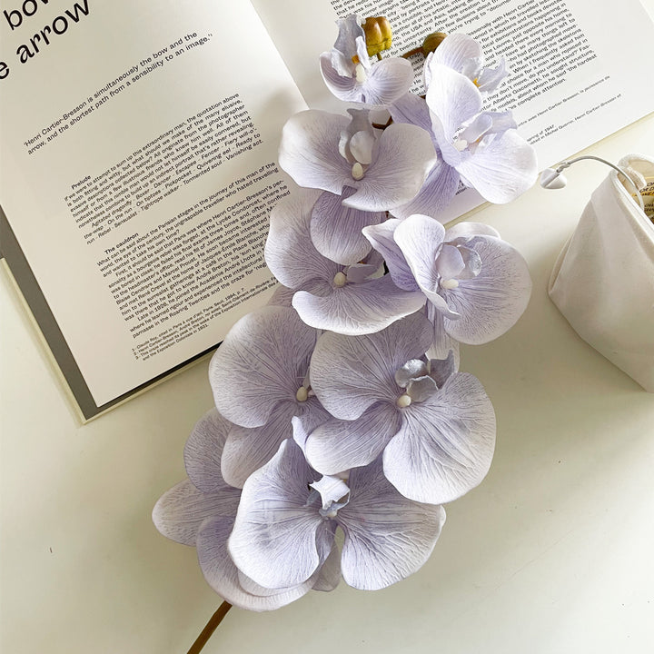 Elegante Orchidee Steel